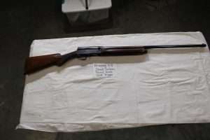 Living Estate Auction